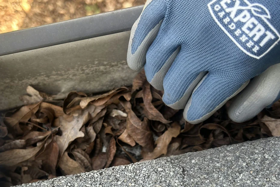 Gutter Cleaning Leon Valley TX