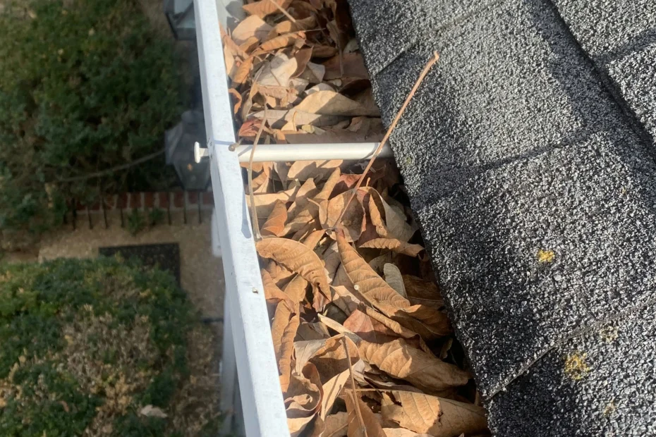 Gutter Cleaning Leon Valley TX