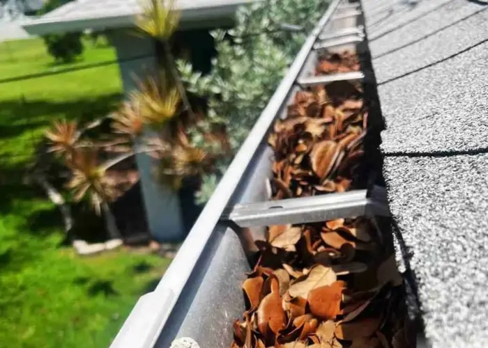 Gutter Cleaning Leon Valley TX home page